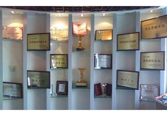 榮譽(yù)獎(jiǎng)項(xiàng)